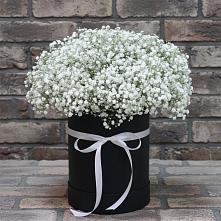 Цветочная композиция из Гипсофила в шляпной коробке #REPLACE_PRED# Щеглово